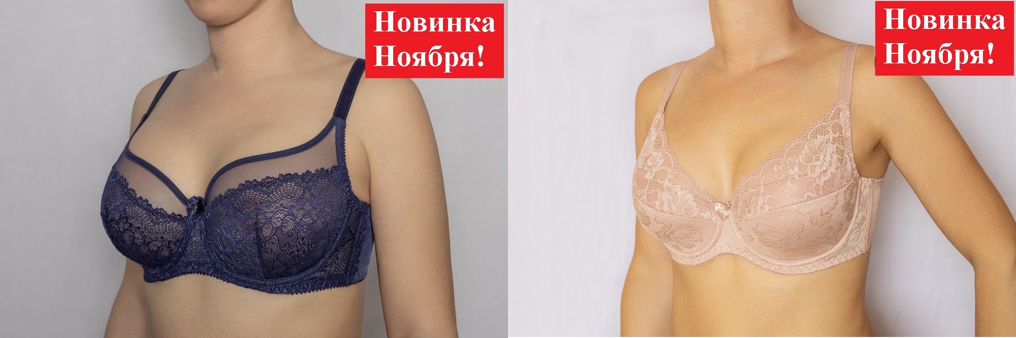 ALBINA-L (Латвия). Ноябрь-Январь 24-25